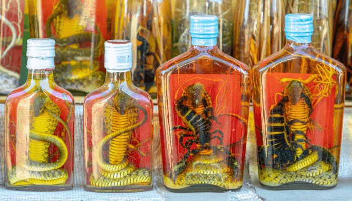 Snake Wines