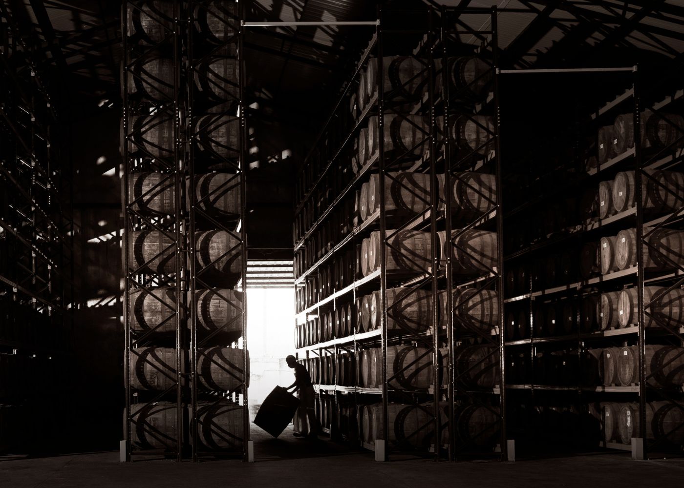 Oak Barrels for maturation